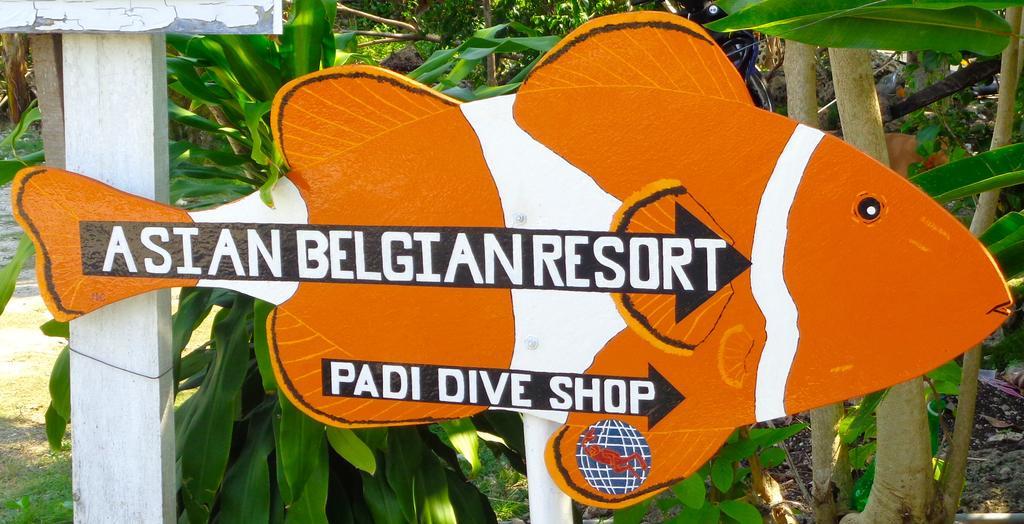 Asian Belgian Dive Resort Moalboal Exterior foto