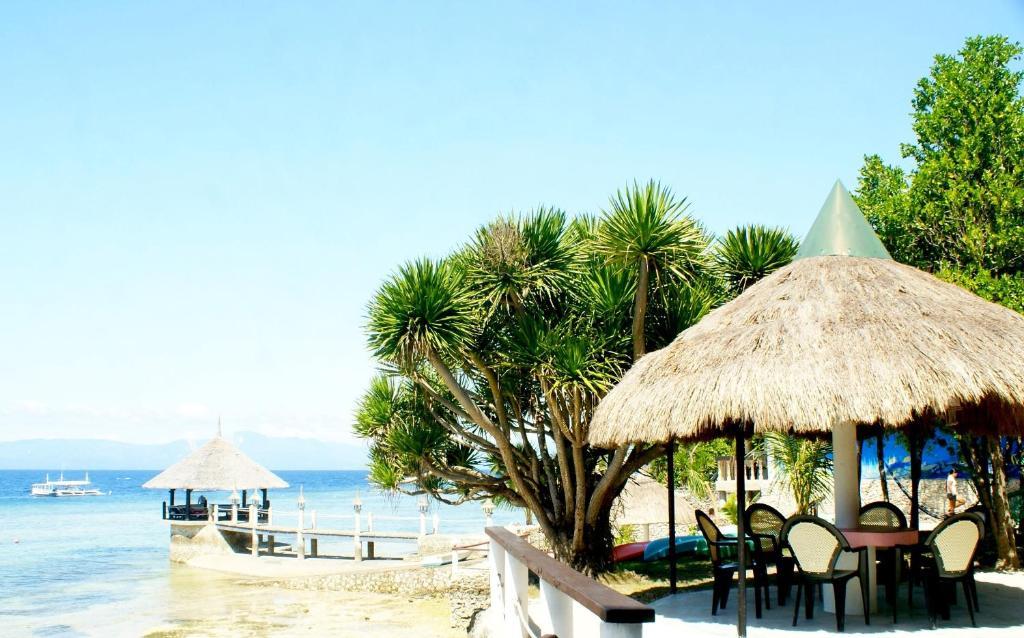 Asian Belgian Dive Resort Moalboal Exterior foto
