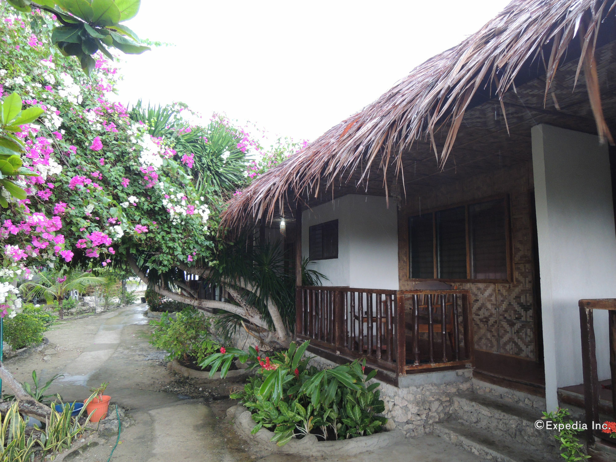 Asian Belgian Dive Resort Moalboal Exterior foto